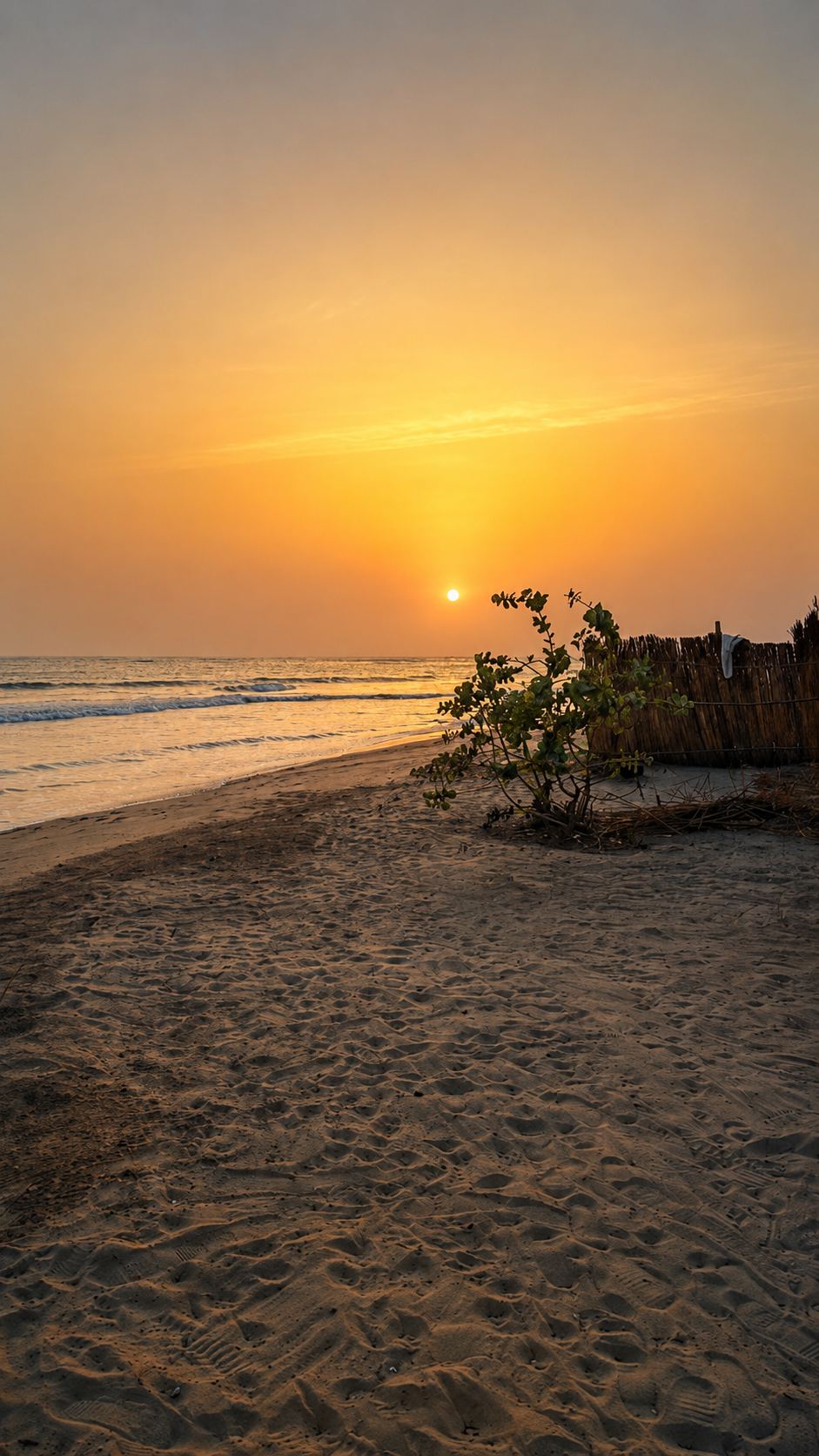 Golden sunset over the beach beside Chop n Chill